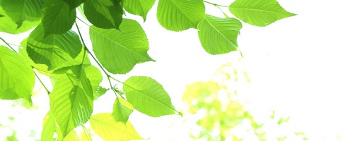 ケフトル ローションEX K.FUTOL EX販売サイトへ